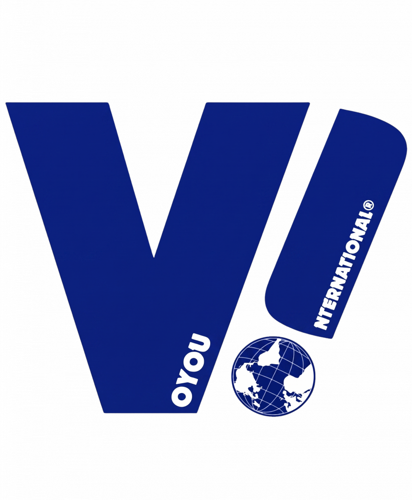 Voyou International V! logo with globe